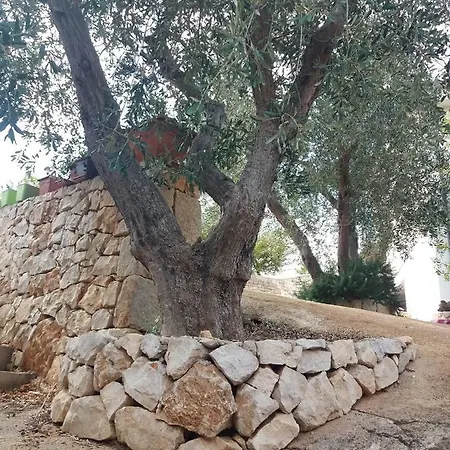 Da Fabio E Paola منزل ريفي *